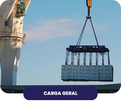 Carga e descarga de navios